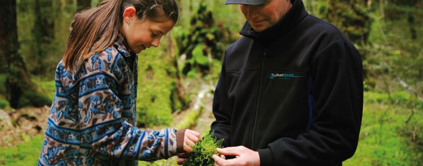 A guide on a Wilderness trip with Dart River Jet discusses flora and fauna 